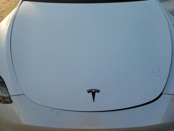2021 TESLA MODEL Y - Image 12